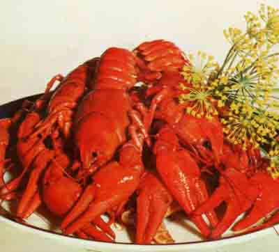 [crayfish1.jpg]