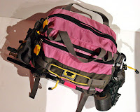 a pink bag with black straps