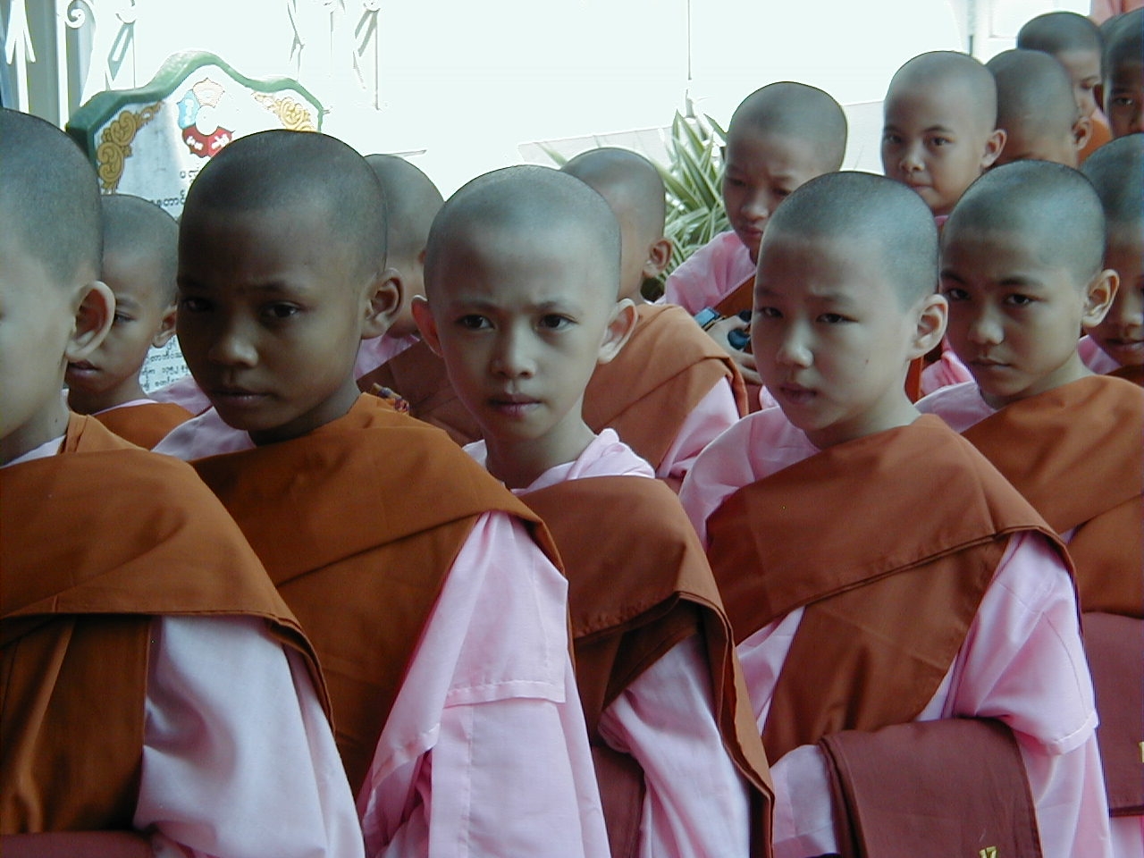 Fledgling nuns, Myanmar