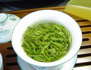 chinese green tea xing yang mao jian