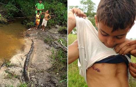 [anaconda-brasil-boy-8-years.jpg]