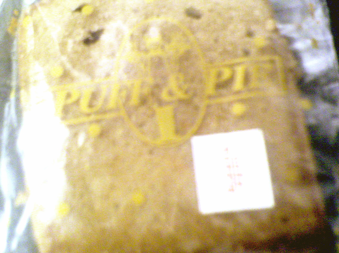 [Puff+&+Pie.JPG]