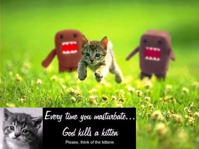 [kittenkillers.jpg]