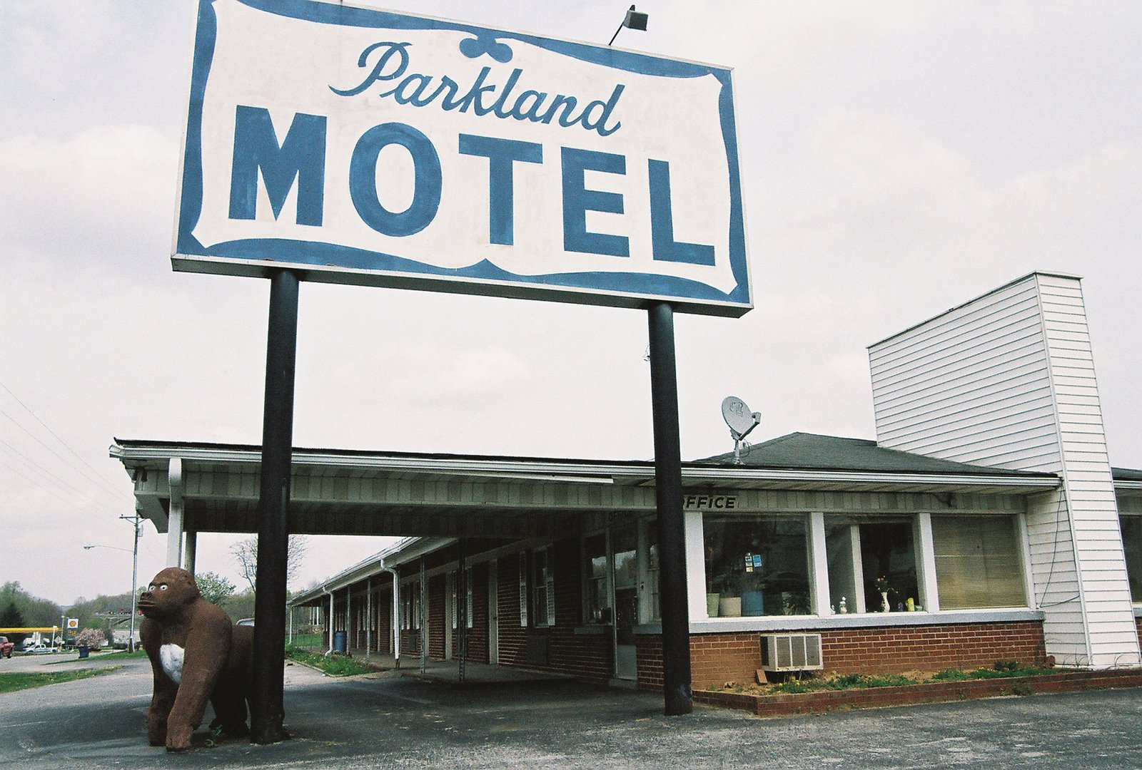 [Parkland+Motel+and+their+Gorilla.JPG]