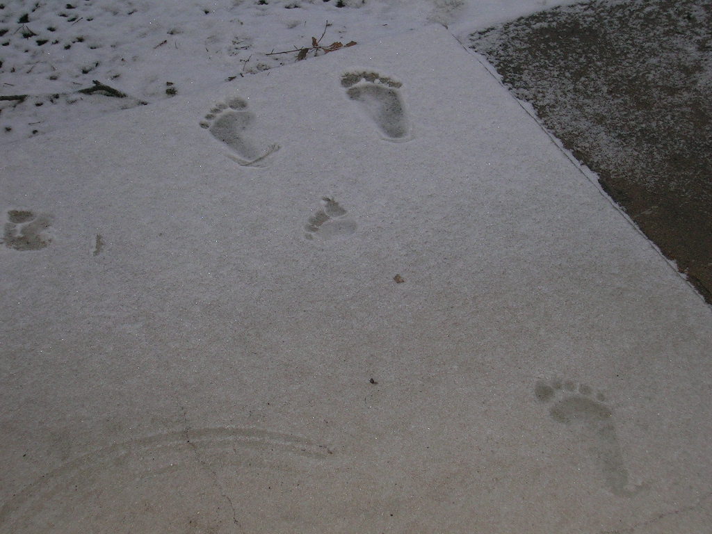 [Footprints+in+the+Sand.JPG]