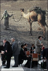 [concurso+de+camellos.jpg]
