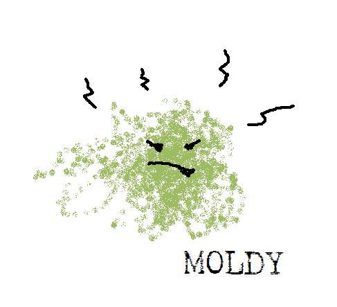 [moldy.jpg]