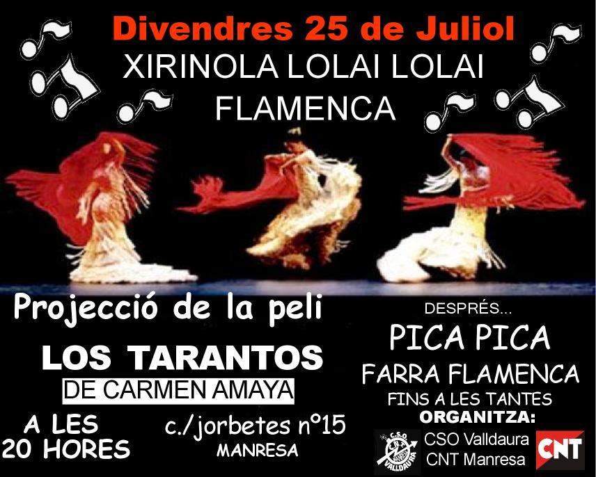 [cartel_flamenco_25_julio_2008.jpg]