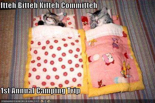 [funny-pictures-itty-bitty-kitty-committee-goes-on-a-camping-trip.jpg]