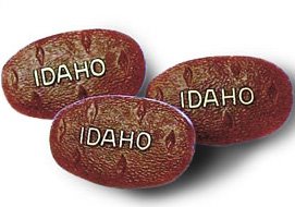 [Idaho+potato+pins.jpg]