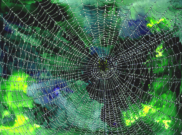 [spider+web+painting.jpg]