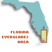 [Everglades-florida+everglades.gif]