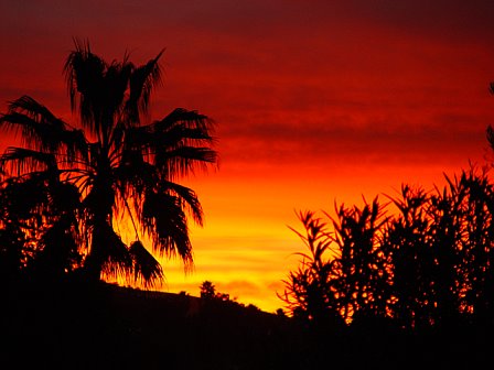 [sunrise+in+my+yard.jpg]