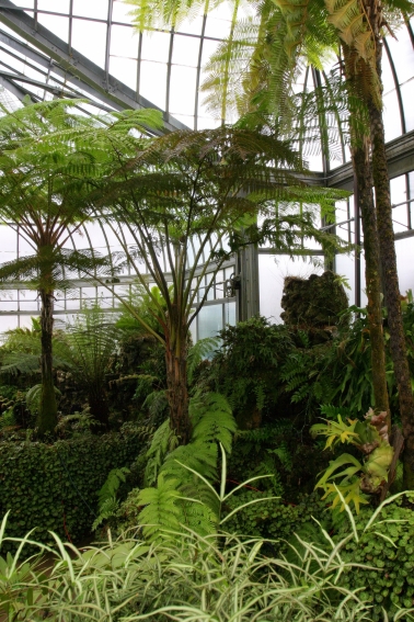 [Conservatory,+ferns+#7100-1-567.jpg]