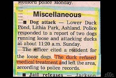 [Duck+refuses+treatment.jpg]