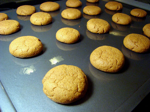 [2009_02_05_cookies.jpg]