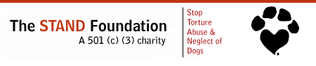 the STAND foundation, inc.