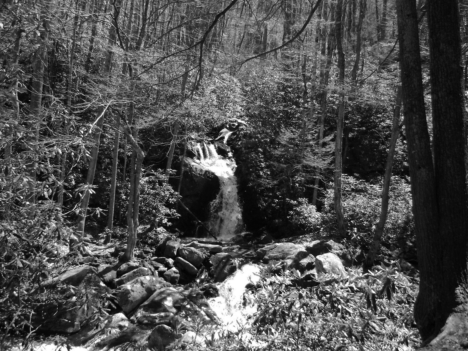 Mouse Creek Falls, April 16, 2008
