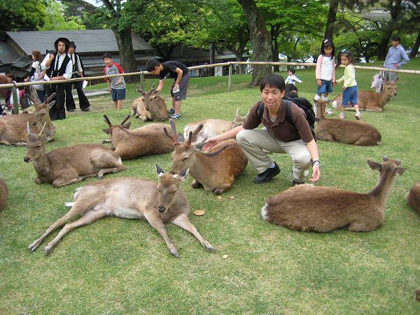 [03+Nara+Lots+of+Deer.jpg]