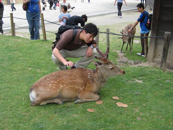 [02+Nara+Deer+Petting.jpg]