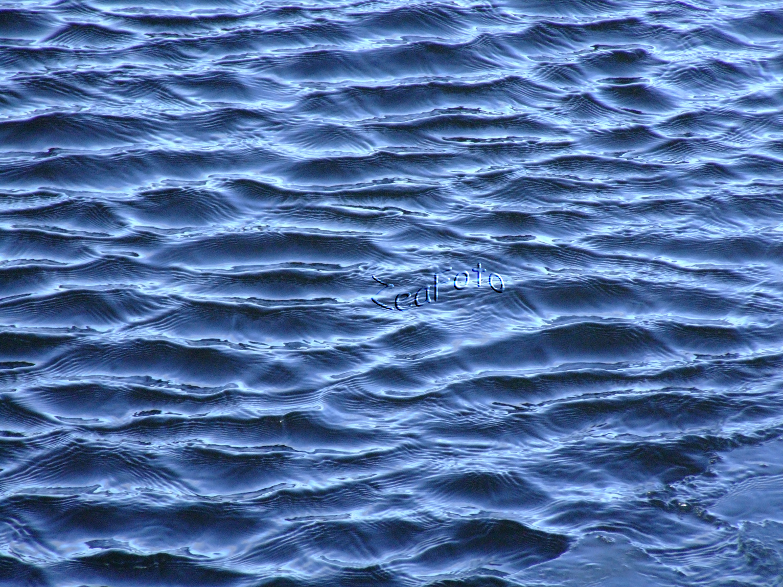 [Waves+01.jpg]