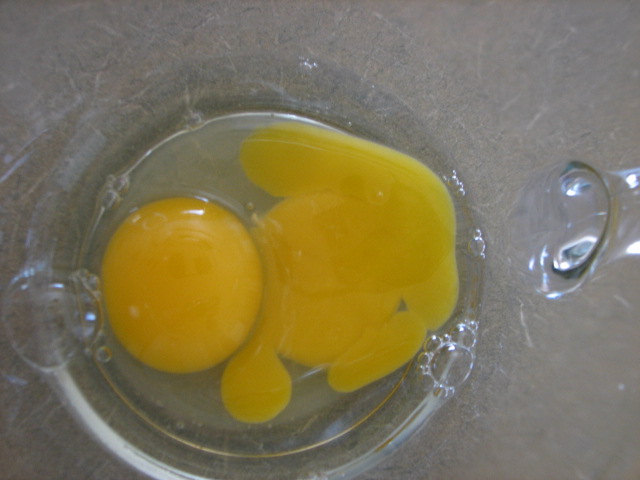 [double+yolk.JPG]
