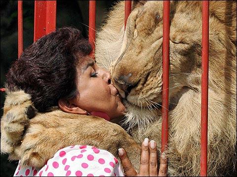 [lion+kiss.jpg]