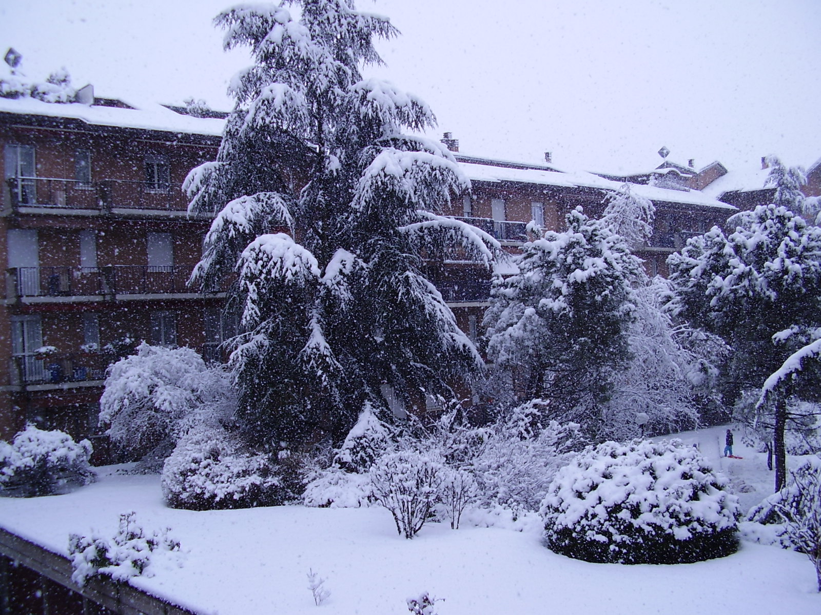 Bergamo, inverno 2005