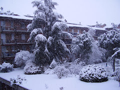 Bergamo, inverno 2005