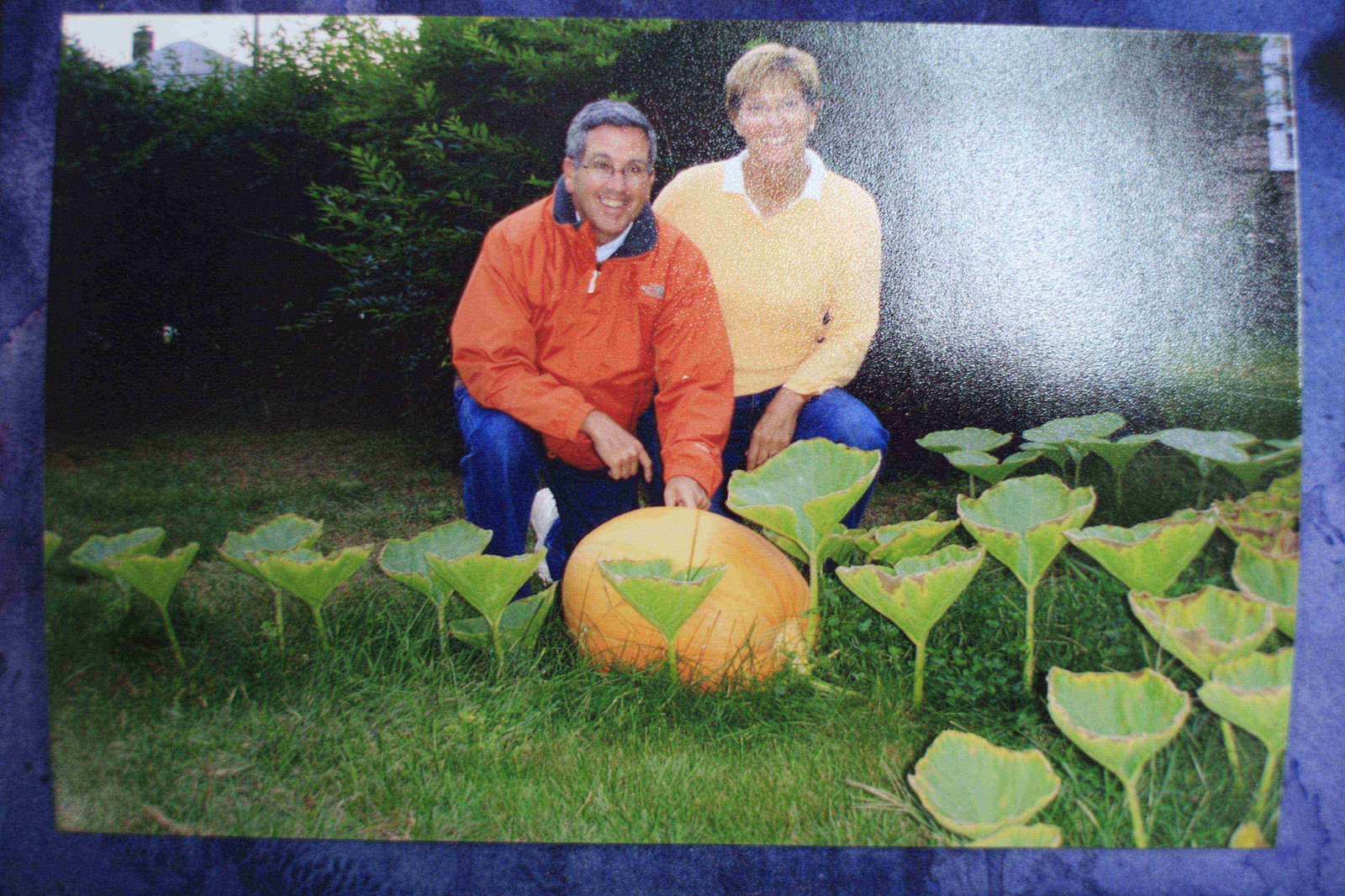 [mom&bob_pumpkin.JPG]