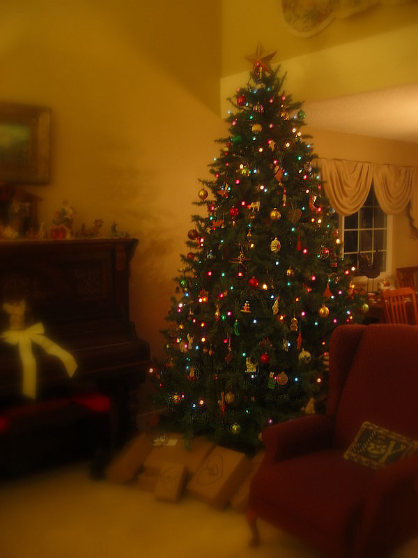 [Christmas+2006.jpg]