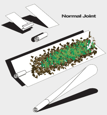 [normal+joint.jpg]