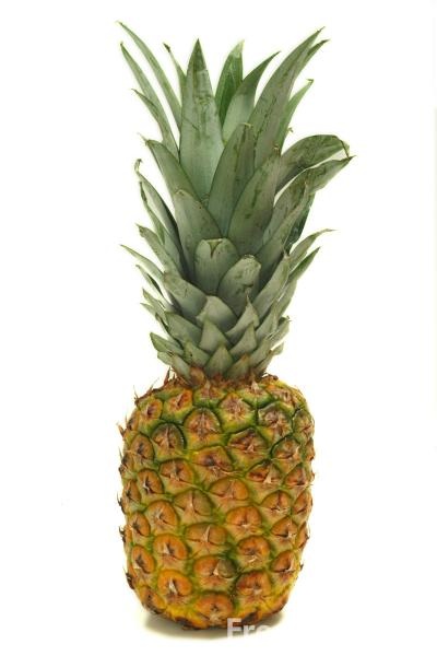 [09_08_58---Fruit-Pineapple_web.jpg]