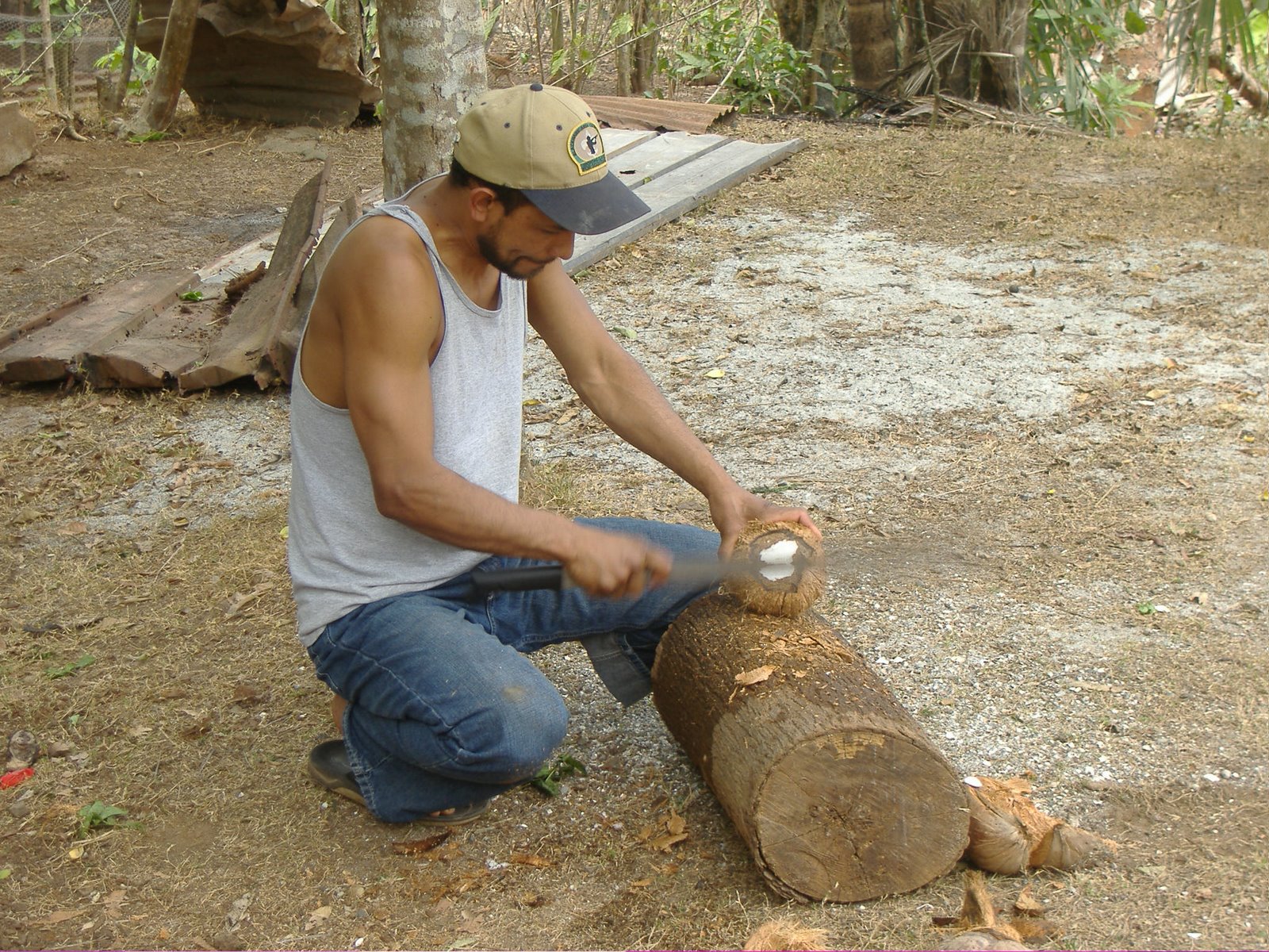 [Panama+2+-+Marcelo+cutting+coconut+with+machete.JPG]