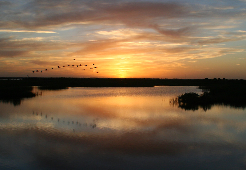 [4915.fl+sunset.birds.03.jpg]