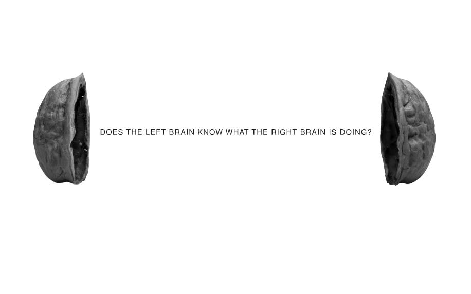 [brains.JPG]