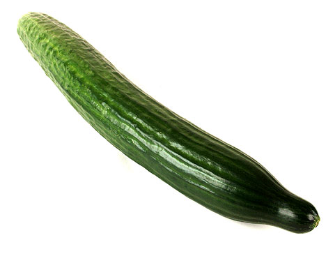 [cucumber.jpg]