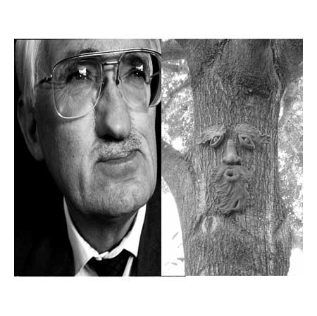 [tree+face.jpg]