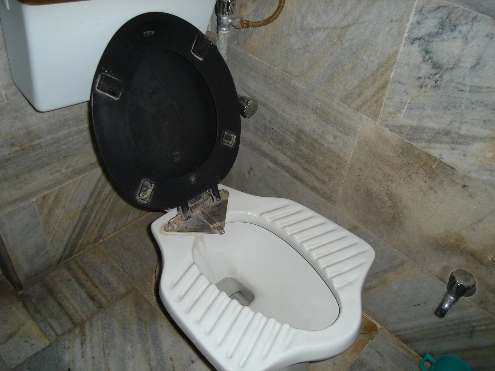 [western+toilet+for+squatters.JPG]