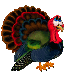[Thanksgiving-animated+turkey.gif]