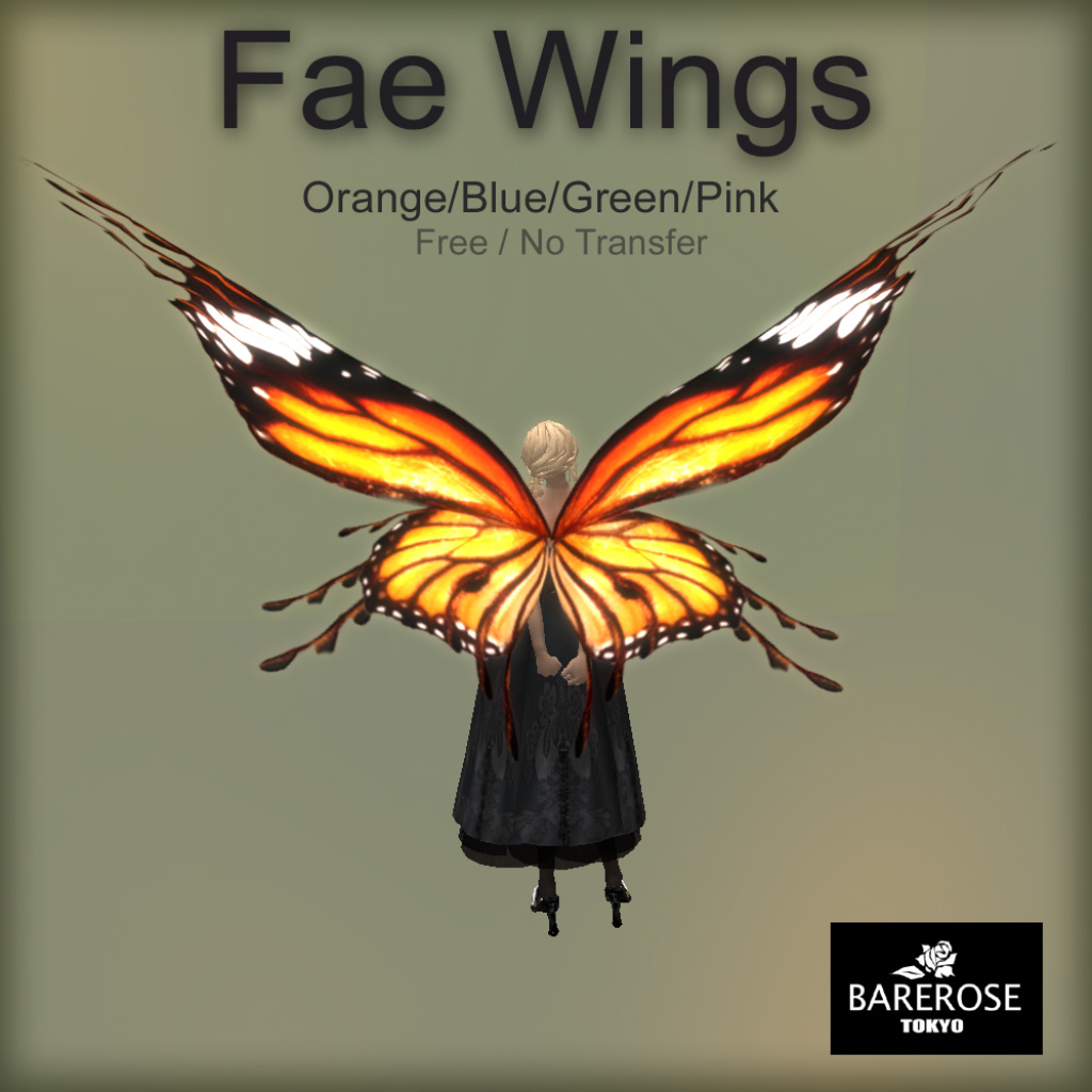 [Fae+wings.jpg]
