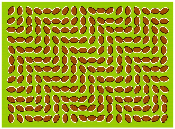 [optical_illusions_07.gif]