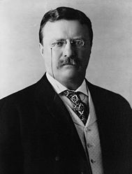 [189px-President_Theodore_Roosevelt,_1904.jpg]