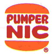 [Pumer_Nic_Old_Logo.jpg]