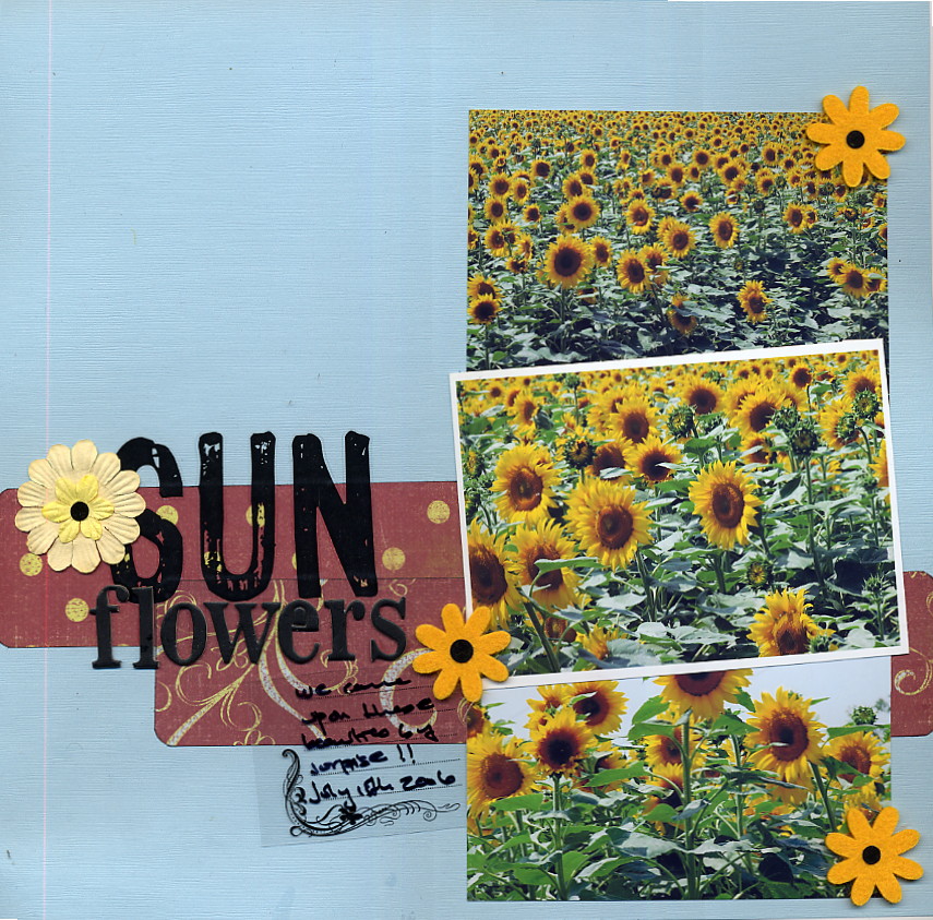 [sunflowers.JPG]