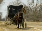 [180px-Mennonite_and_carriage_publ.jpg]