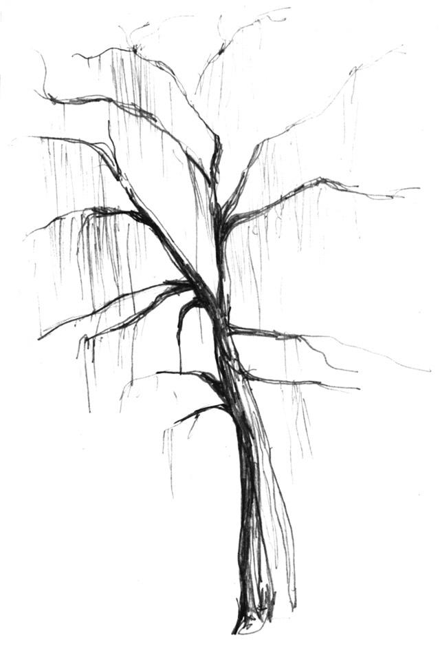 [arbre+courneuven.jpg]