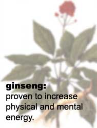 [herbal-supplements-ginseng.jpg]