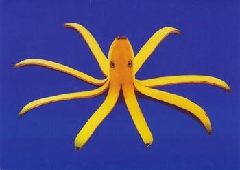 [banana+octopus.bmp]