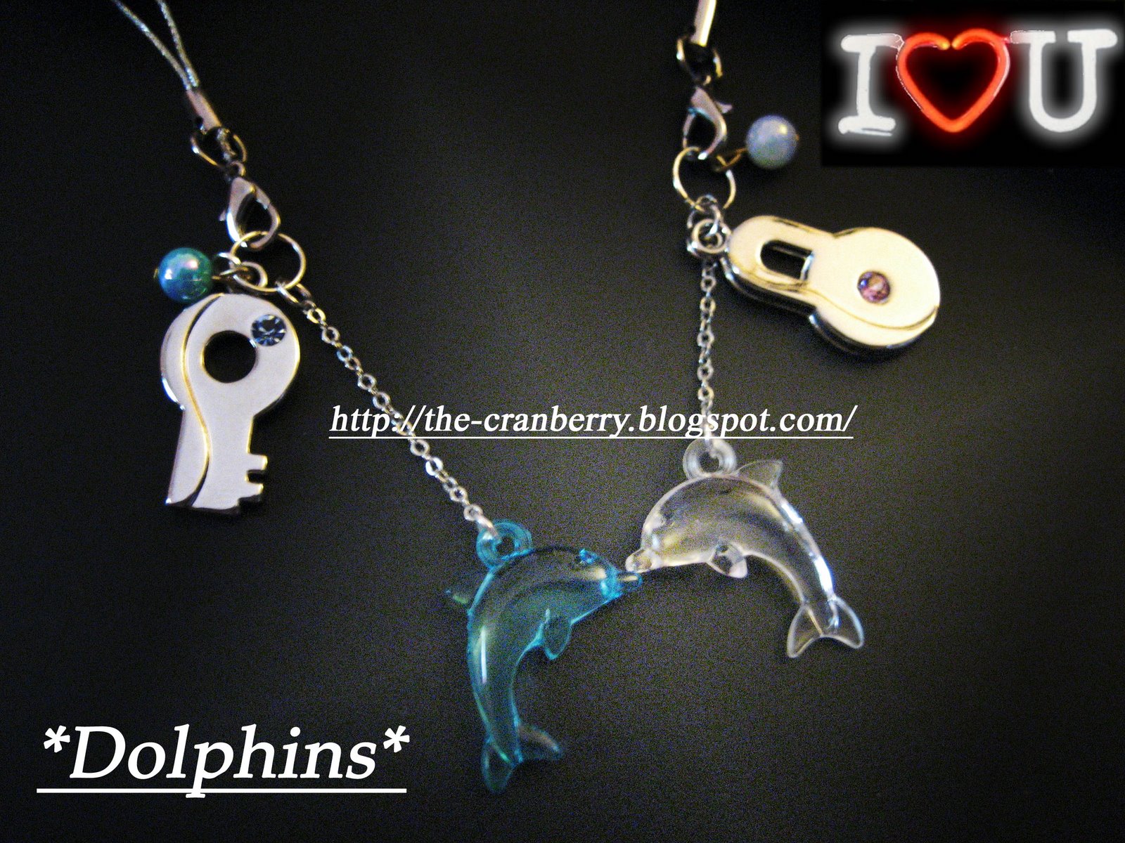 [dolphins2.jpg]